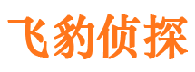 额尔古纳侦探